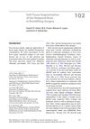 Soft Tissue Augmentation of the Temporal Brow in Browlifting Surgery