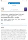 Hyaluronate and Gelatin-Based Hydrogels Encapsulating Doxycycline as a Wound Dressing for Burn Injury Therapy