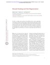 Wound Healing and Skin Regeneration