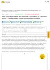 Yield, Characterization and Possible Exploitation of Cannabis Sativa L. Roots Grown Under Aeroponics Cultivation