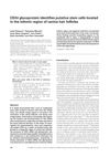 CD34 Glycoprotein Identifies Putative Stem Cells Located in the Isthmic Region of Canine Hair Follicles