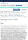 Thiadiazole Chitosan Conjugates as a Novel Cosmetic Ingredient for Rinse-Off Hair Conditioners: Design, Formulation, Characterization and In Silico-Molecular Docking Studies