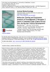 Molecular Cloning and Expression Analysis of Prostaglandin E Receptor 2 Gene in Cashmere Goat (Capra hircus) Skin During Hair Follicle Development