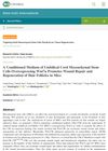 A Conditioned Medium of Umbilical Cord Mesenchymal Stem Cells Overexpressing Wnt7a Promotes Wound Repair and Regeneration of Hair Follicles in Mice