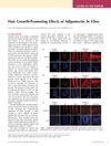 Hair Growth-Promoting Effects of Adiponectin In Vitro