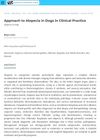 Approach to Alopecia in Dogs in Clinical Practice