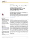 Finasteride Has Regionally Different Effects on Brain Oxidative Stress and Acetylcholinesterase Activity in Acute Thioacetamide-Induced Hepatic Encephalopathy in Rats