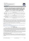 The Role of Injectable Platelet-Rich Fibrin (i-PRF) and Advanced Platelet-Rich Fibrin (A-PRF) in Androgenetic Alopecia: A New Frontier in Hair Regeneration