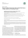 The Use of Adipose-Derived Stem Cells in Selected Skin Diseases (Vitiligo, Alopecia, and Nonhealing Wounds)