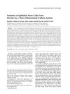 Isolation of Epithelial Stem Cells from Dermis by a Three-Dimensional Culture System