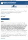 Minoxidil Acts as an Antiandrogen: A Study of 5α-Reductase Type 2 Gene Expression in a Human Keratinocyte Cell Line