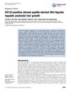 CD133-Positive Dermal Papilla-Derived Wnt Ligands Regulate Postnatal Hair Growth
