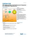 Skin Adipocyte Stem Cell Self-Renewal Is Regulated by a PDGFA/AKT Signaling Axis