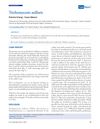 Trichomycosis Axillaris: A Case Report