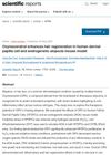 Oxyresveratrol Enhances Hair Regeneration in Human Dermal Papilla Cells and Androgenetic Alopecia Mouse Model