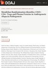 Mendelian Randomization Identifies CD25+ CD4+ Tregs and Plasma Proteins in Androgenetic Alopecia Pathogenesis