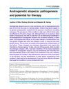 Androgenetic Alopecia: Pathogenesis and Potential for Therapy