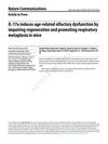IL-17a Induces Age-Related Olfactory Dysfunction by Impairing Regeneration and Promoting Respiratory Metaplasia in Mice