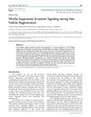 Wnt5a Suppresses β-Catenin Signaling During Hair Follicle Regeneration