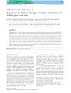 Expression Analysis of the Type I Keratin Protein Keratin 33A in Goat Coat Hair