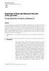 Regeneration of Mouse Skin Melanocyte Stem Cells In Vivo and In Vitro
