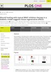 Wound Healing With Topical BRAF Inhibitor Therapy in a Diabetic Model Suggests Tissue Regenerative Effects