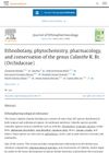 Ethnobotany, Phytochemistry, Pharmacology, and Conservation of the Genus Calanthe R. Br. (Orchidaceae)