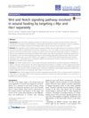 Wnt and Notch Signaling Pathway Involved in Wound Healing by Targeting c-Myc and Hes1 Separately
