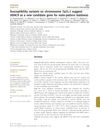 Susceptibility Variants on Chromosome 7p21.1 Suggest HDAC9 as a New Candidate Gene for Male-Pattern Baldness