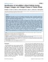 Identification of MicroRNAs in Wool Follicles During Anagen, Catagen, and Telogen Phases in Tibetan Sheep