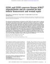 EZH1 and EZH2 Co-Govern Histone H3K27 Trimethylation and Are Essential for Hair Follicle Homeostasis and Wound Repair