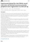 Experimental Dataset for Hair Follicle Neural Crest Stem Cell-Derived Exosomes Promote Peripheral Nerve Regeneration via miR-214-3p