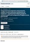 Integrated Transcriptomic and Proteomic Analysis Reveals Molecular Mechanisms of Melatonin-Regulated Hair Follicle Growth in Cashmere Goats and Comparative Insights Across Goat Breeds
