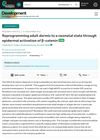 Reprogramming Adult Dermis to a Neonatal State Through Epidermal Activation of Beta-Catenin