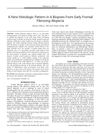 A New Histologic Pattern in 6 Biopsies From Early Frontal Fibrosing Alopecia