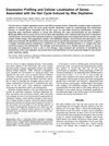 Expression Profiling and Cellular Localization of Genes Associated with the Hair Cycle Induced by Wax Depilation