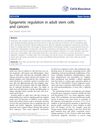 Epigenetic Regulation in Adult Stem Cells and Cancers