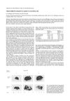 Alopecia Induced in Young Mice by Exposure to Excess Dietary Zinc