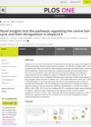 Novel Insights Into the Pathways Regulating the Canine Hair Cycle and Their Deregulation in Alopecia X