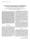 The Structural and Functional Aspects of Hair Cell Regeneration in the Chick as a Result of Exposure to Intense Sound