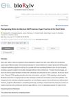 Reorganizing Niche Architecture Still Preserves Organ Function in the Hair Follicle
