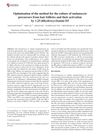 Optimization of the Method for Culturing Melanocyte Precursors from Hair Follicles and Their Activation by 1,25-Dihydroxyvitamin D3