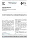 Anatomy of the Ageing Face