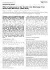 Effect of Latanoprost on Hair Growth in the Bald Scalp of the Stump-Tailed Macaque: A Pilot Study