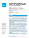 Persistent Erectile Dysfunction in Men Exposed to 5α-Reductase Inhibitors, Finasteride, or Dutasteride