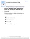 Effects of Gamma Rays on the Regeneration of Murine Hair Follicles in the Natural Hair Cycle