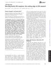 Non-Edg Family LPA Receptors: The Cutting Edge of LPA Research