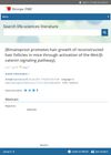Bimatoprost Promotes Hair Growth of Reconstructed Hair Follicles in Mice Through Activation of the Wnt/β-Catenin Signaling Pathway
