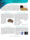 Clinical Snippets: Stabilization of Vitamins C and E, Hedgehog Pathway Agonists, Atopic Dermatitis, Lentigo Maligna Melanoma, and Relaxin-Deficient Mice