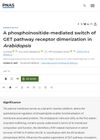 A Phosphoinositide-Mediated Switch of GET Pathway Receptor Dimerization in Arabidopsis